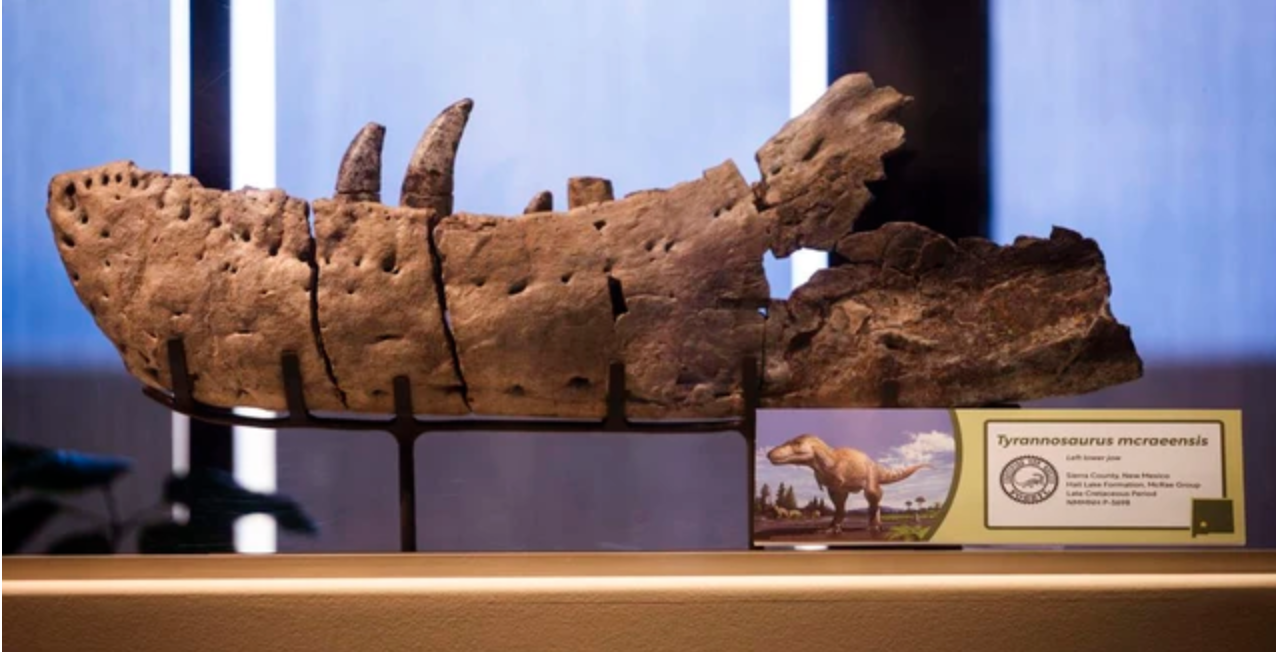 Xuất[-]hiện[-]"vua[-]quái[-]vật"[-]dài[-]12[-]m,[-]nguy[-]hiểm[-]hơn[-]T-rex